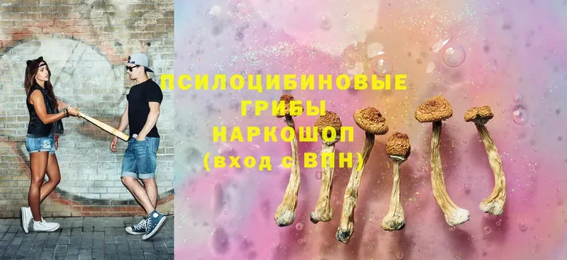 Псилоцибиновые грибы Magic Shrooms  где найти наркотики  Новодвинск 